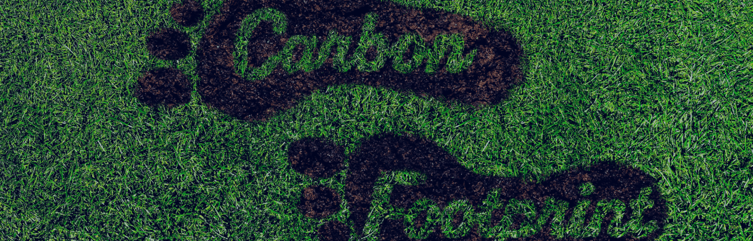 carbon footprint
